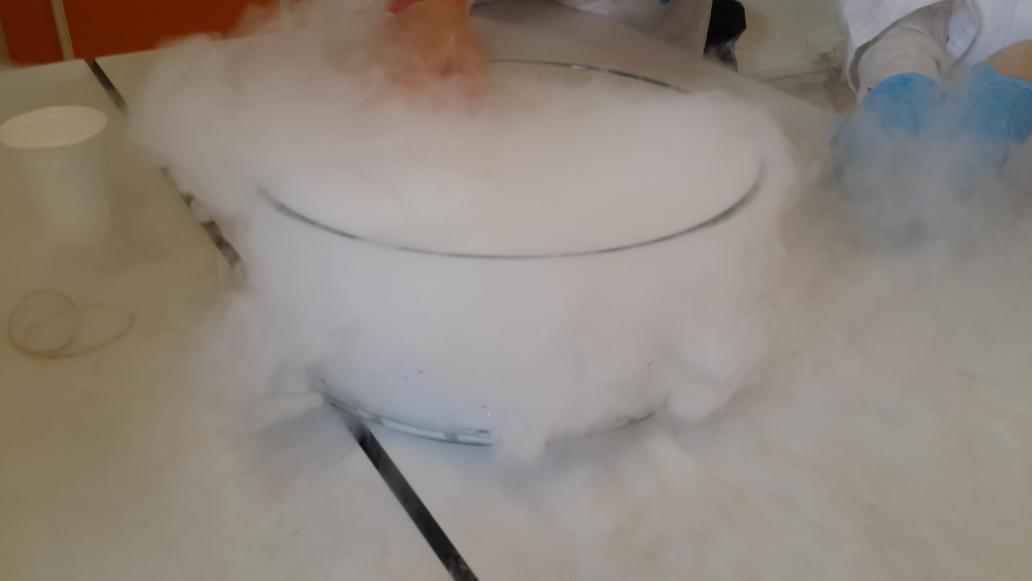 schroodingercat's tweet image. Кратко об уроках химии заграницей: