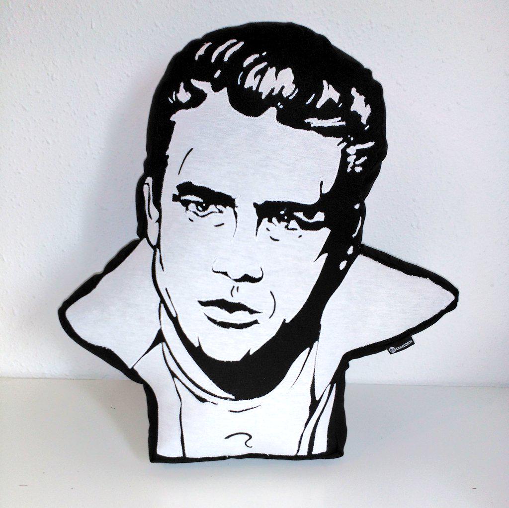 ComodiosCojines's tweet photo. Pídenos tu cara, la de tu vecina o la de tu ídolo transformada en un cojín único y original. #JamesDean #vectorizado http://t.co/eBsle2kXlG