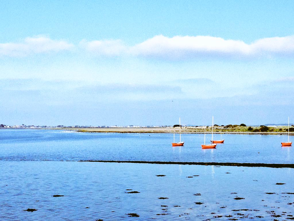 nafiannamusic's tweet photo. Bull Island, #Clontarf, #Dublin. What a nice place to live. Close to the city and beside this. 🍀🇮🇪 -H #lovenafianna http://t.co/6D1WxSCsh6