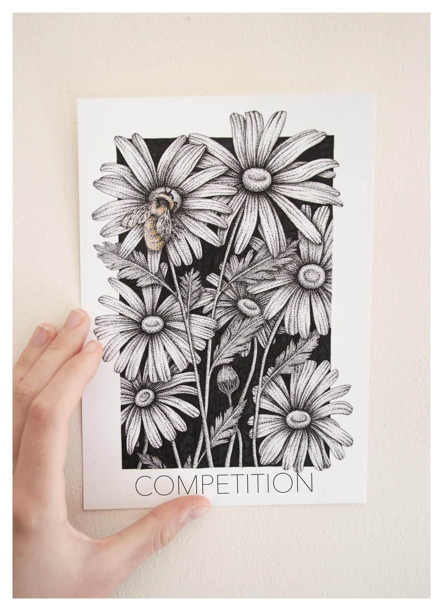 rachelcardart's tweet photo. RT and Follow for a chance to win this limited ed. no. and signed print. Open to all. Ends Dec.1st. #competition http://t.co/ziFxAHosVe