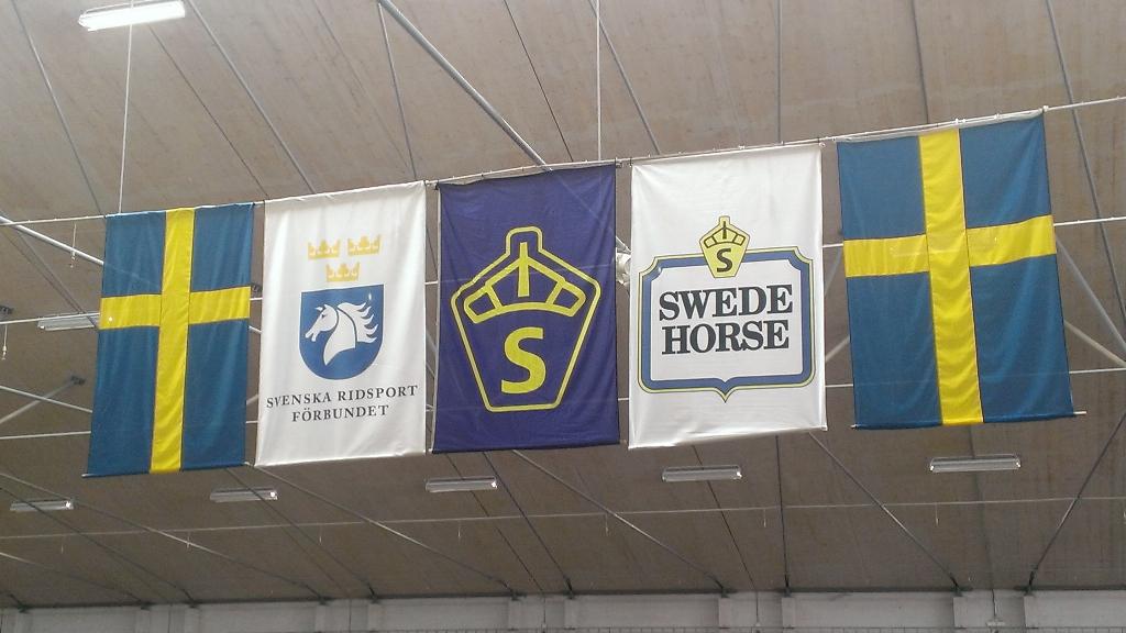 ptrkbrgstrm's tweet photo. Nu på Flyinge Kungsgård för Svenskt Sport och Avelschampionat 😃 http://t.co/HPic2pRntO