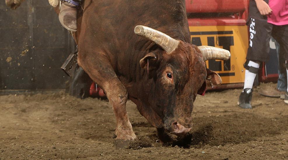 PBR's tweet photo. It’s Dollar Hunt vs. @BenJones_PBR tonight in Round 1 at #PBRAZ. Get your full daysheet: http://t.co/SwbynwcRdH. http://t.co/rTPCu2eoxu