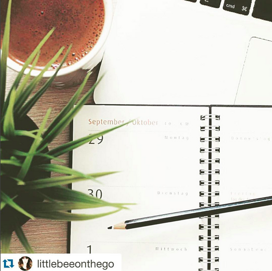 MagnoliaNetz's tweet image. Wir sind bei der Challenge von @EllaTheBee dabei, um ordentlich aufzuräumen 😊! #Putzella #WhoopWhoop #Ordnung