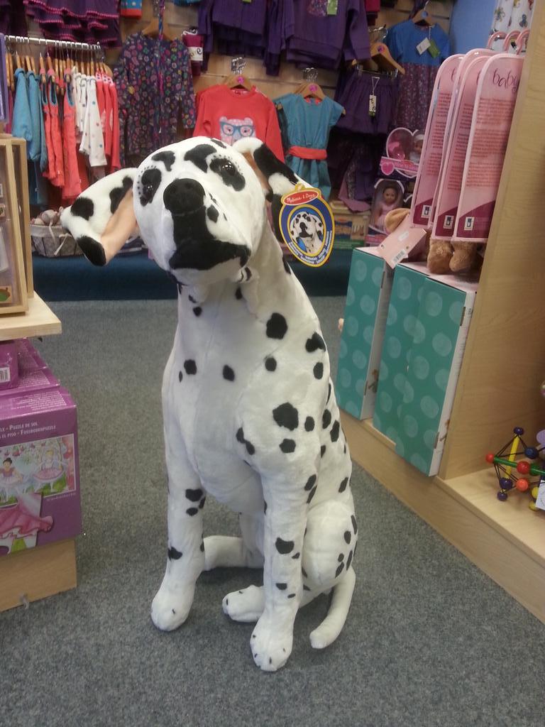 booglesandbump's tweet image. WOOF! #Boogles #Ulverston