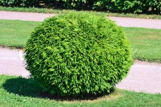 push4bush's tweet photo. Jeb Jeb Jeb Jeb Jeb Jeb Jeb Jeb Jeb Jeb http://t.co/3o0ebVKqKl