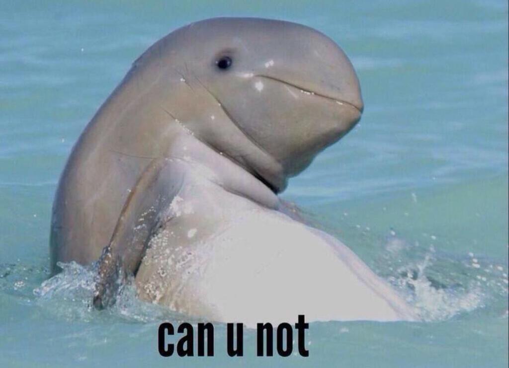 literally us when promoters snake us out of gigs