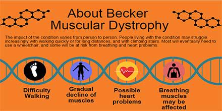 MDUK_News's tweet photo. Today is the start of Becker Awareness Week 2015. Raise awareness by sharing this graphic: http://t.co/Rf2IoI2Hwn http://t.co/mBCHN7Q39M