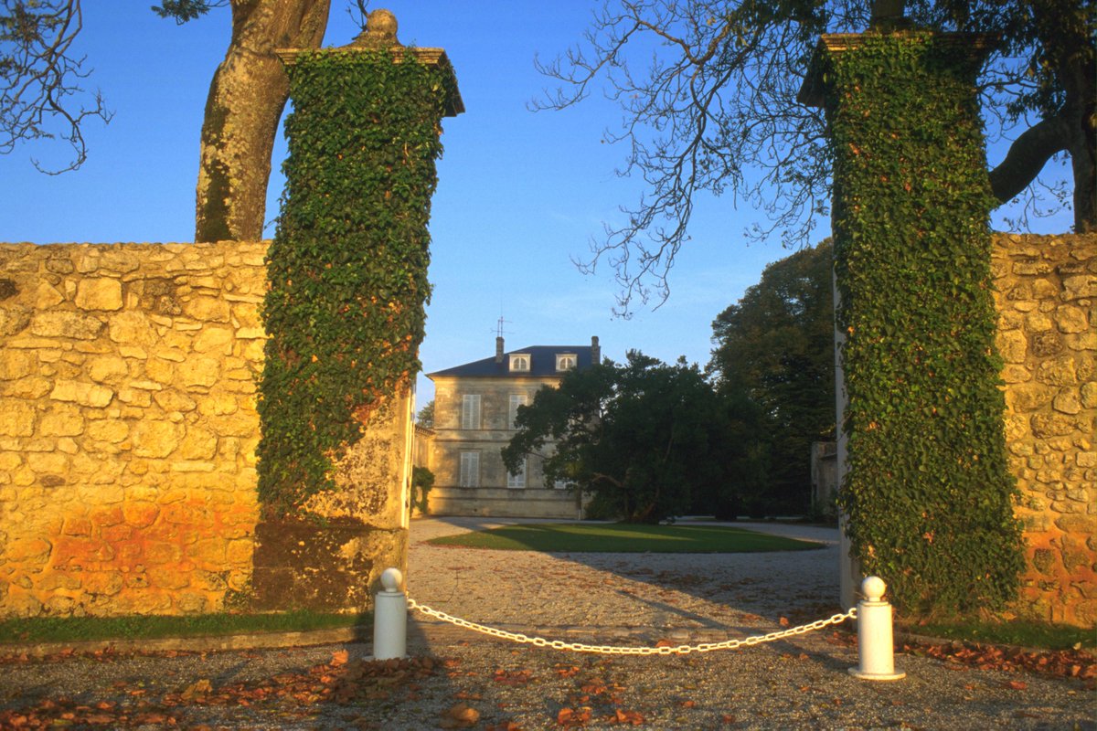 Château d'Armailhac loves first lights of Autumn as it's almost the end of harvest #harvest15 #timeandplace