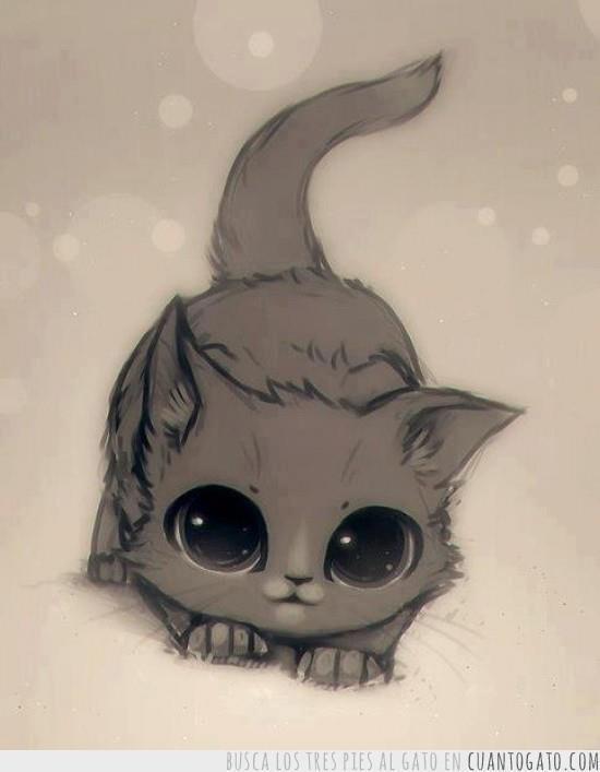 Cute Anime Cat Drawing