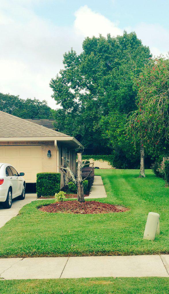 second visit can't till the 4th visit. Doing what we do best beautifying Florida one yard at a time.
863-812-5968