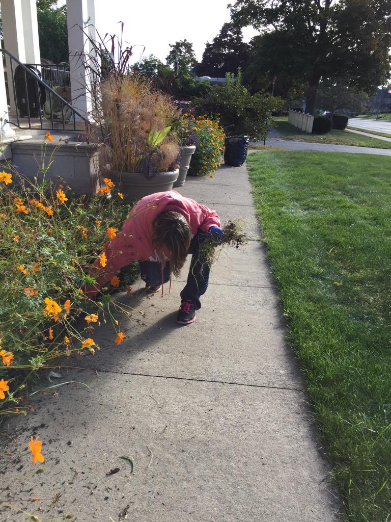 MISCares's tweet photo. We're also at the @AwareShelter helping with yard work to help get ready for winter. Great job, @MISpeedway team! http://t.co/umql0lJxOs