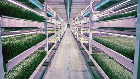 #SmartIdées À Londres une ferme high-tech dans un abri antiaérien ow.ly/SWmRa <a href="/GrownUnder/">Growing Underground</a> <a href="/zerocarbonfood/">Zero Carbon Food</a>