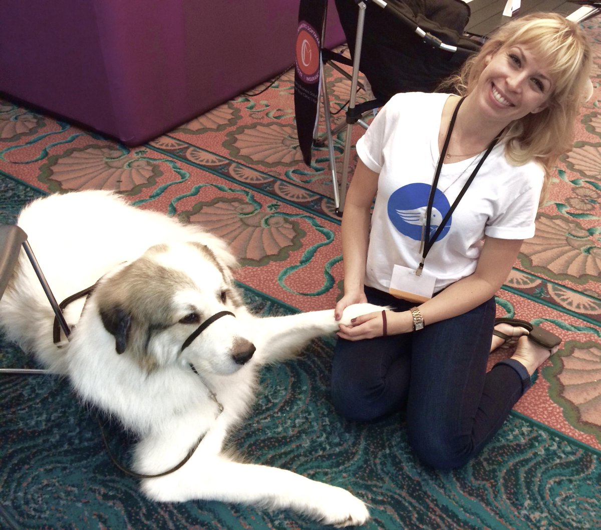 ngaleapp's tweet image. Meet Winter Storm, King of Service Dogs! @CodeMetro #FABA2015