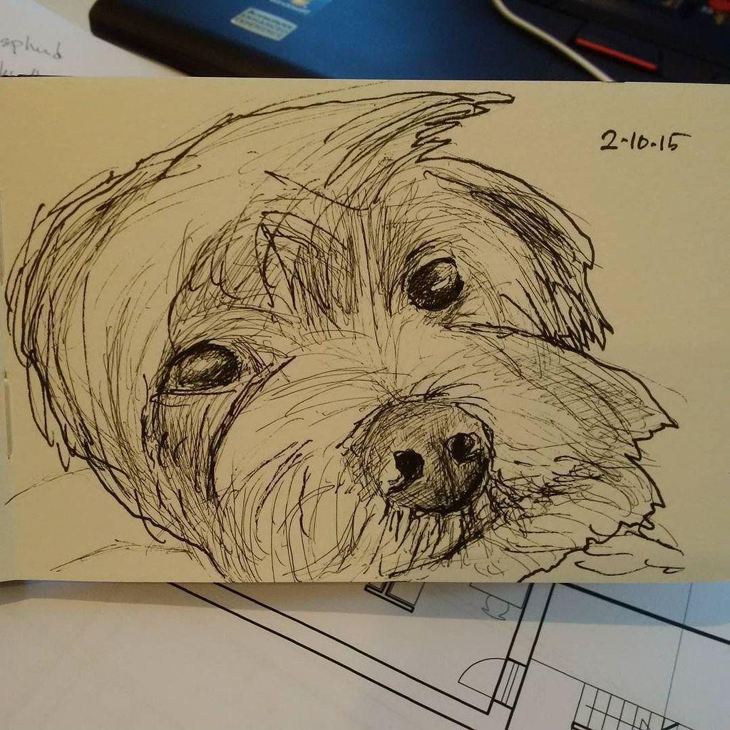 onedrawingdaily's tweet photo. A #sketch for @luvlala ! Come see more #dogs at http://t.co/kGNsuDCUsf
#dog #dogoftheday #twitter #doggie #drawm… http://t.co/ydk2xeuX11