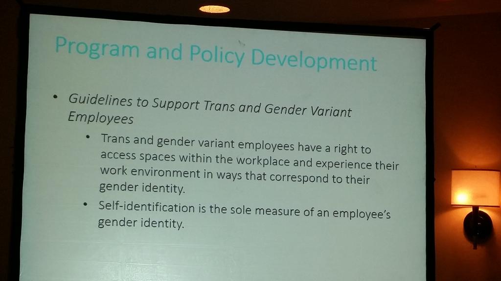 MorganeOgerBC's tweet image. Laura Barbour: some of the @novascotia guidelines to support #trans, #gendervariant persons #CPATH15 #cpath.
