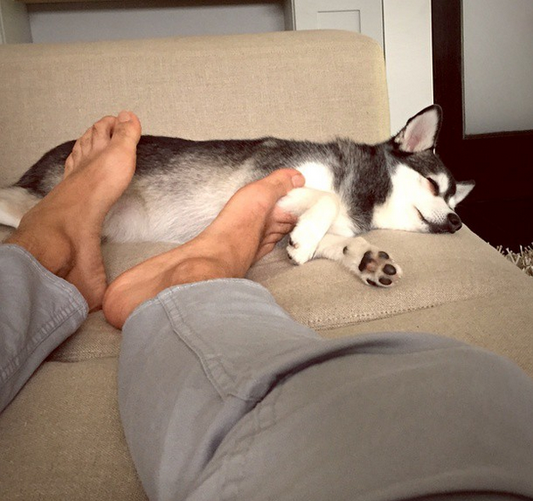 BTRVoters's tweet photo. Happy #FoxPhotoFriday
It's the weekend!
We hope you will have good time like our buddy, Fox! 😉 http://t.co/LhxqDcmlYo