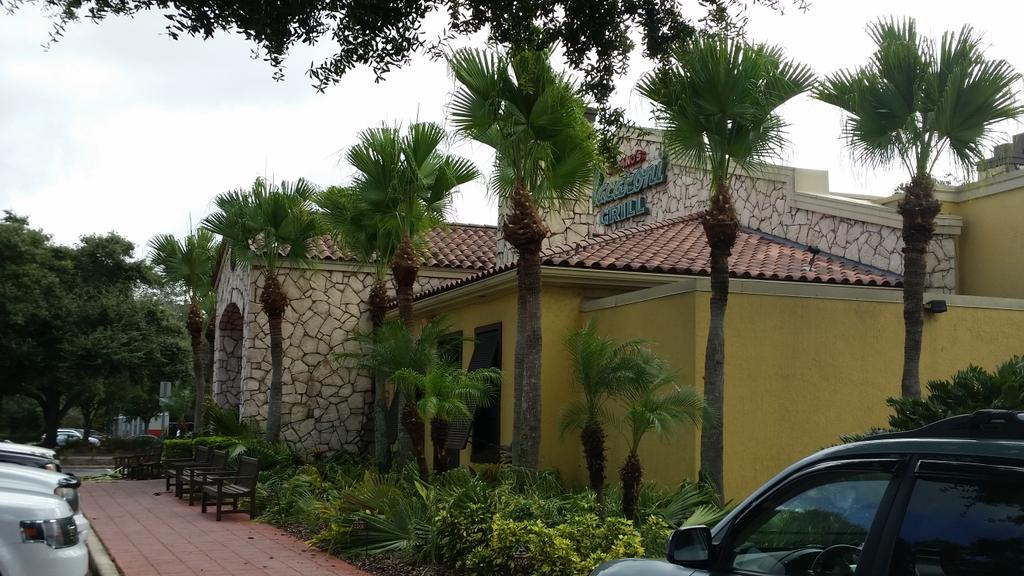 Today also trimming palms around another  restaurant. Chip waste and clean up then off to the next.#HappyFriday