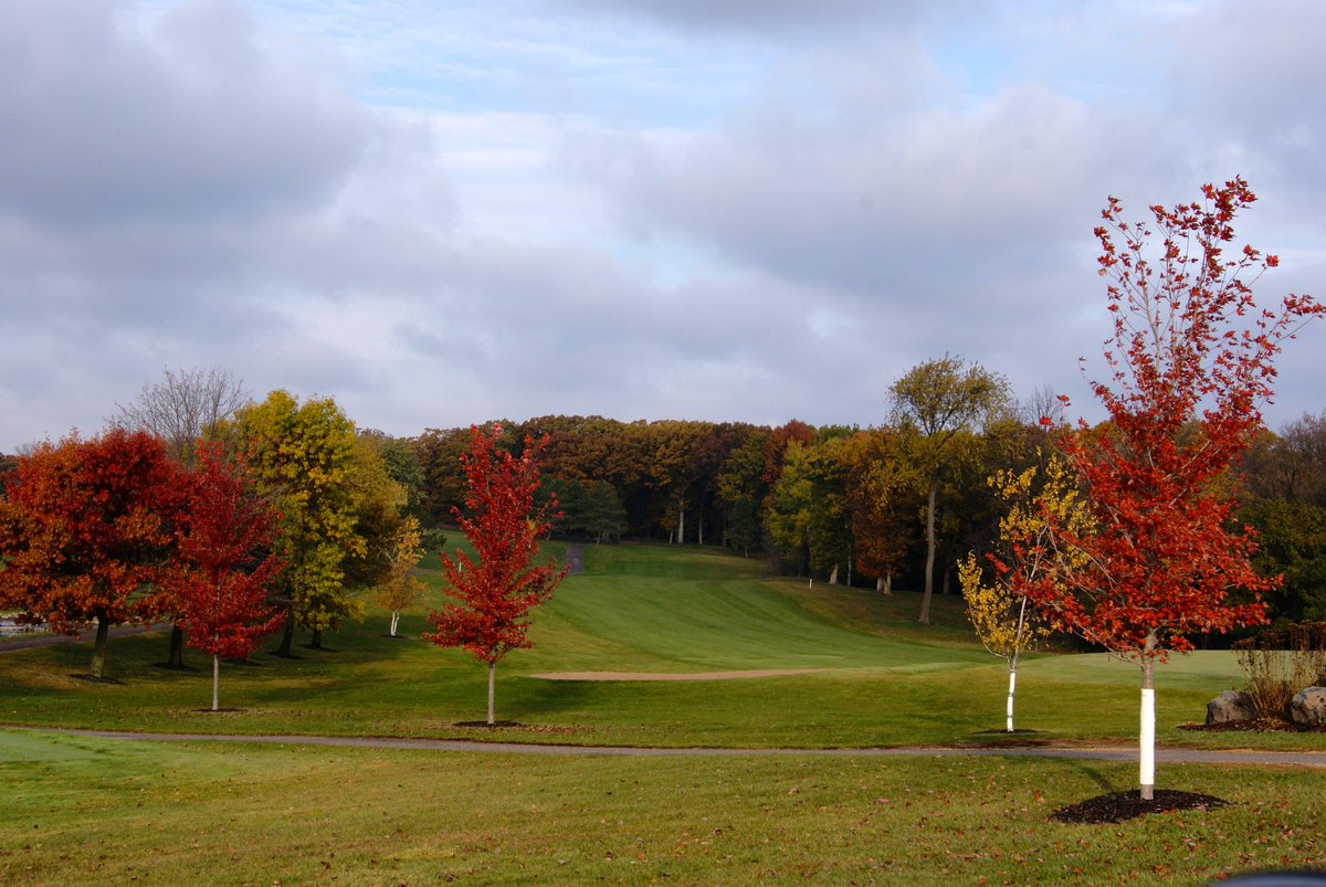 visithastingsmn's tweet photo. Looks like a perfect weekend for a round of fall golf! http://t.co/dMLgDiZPNU http://t.co/Sfld8AZTW3