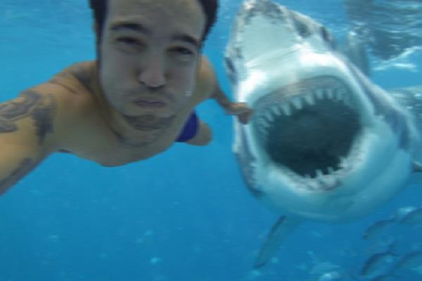 DatoCurioso_0's tweet photo. Selfies tomadas en momentos terriblemente peligrosos --> http://t.co/mhpc4B7ioG http://t.co/nuLGKtJMGW