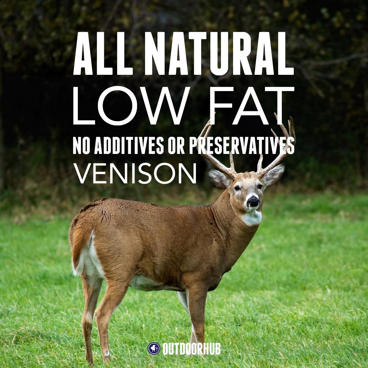 Outdoor_Hub's tweet photo. Who's ready to fill their freezer? Find more wild game nutrition facts here: http://t.co/84jD8tnT50 http://t.co/Ydn4sSnOx0