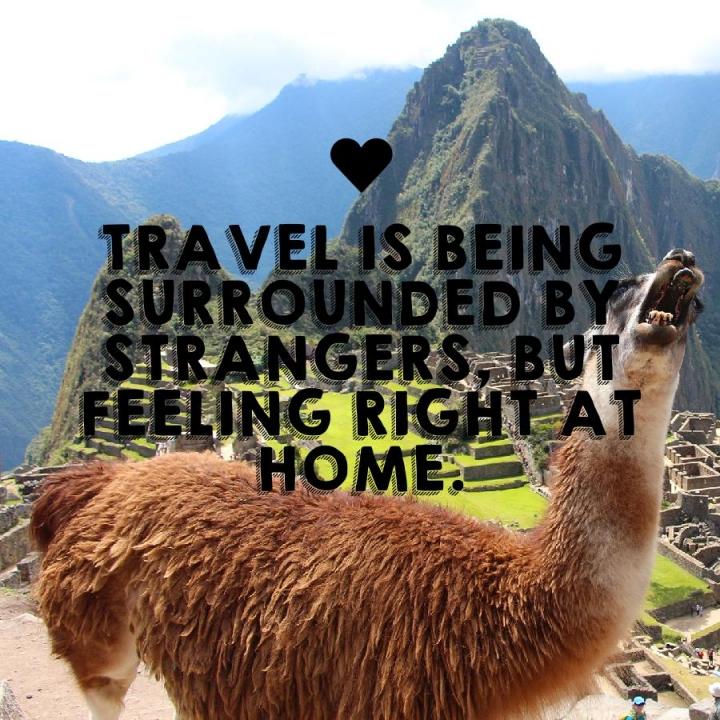 Wanderlover tweet media