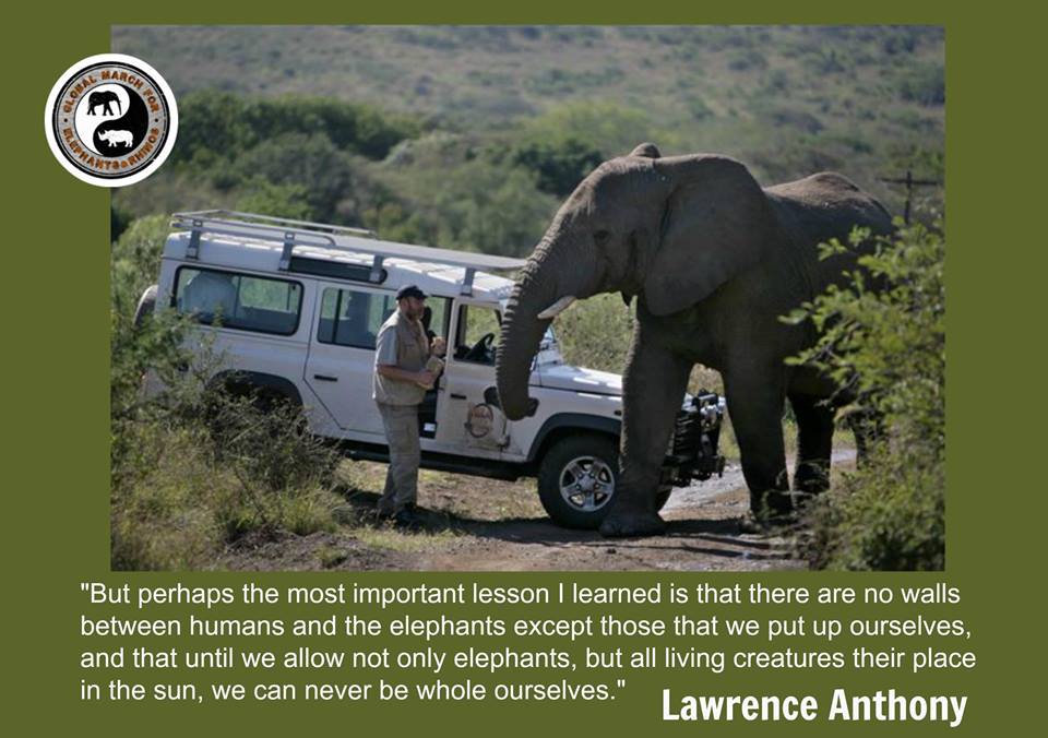 EleRhinoMarch's tweet photo. Words to live by,from a great man!
#YesWeWILL March for #Elephants to give them their place so they #MayLive
#GMFER http://t.co/NbpvfCNu6I