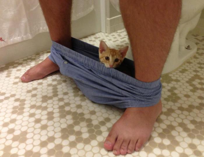 elefantegrafico's tweet photo. Estos gatos no conocen lo que es el espacio personal. http://t.co/soy0rCqmlx