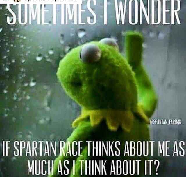 TeamDirtyGirls's tweet photo. Credit to @Theblueguru for this! @SpartanRace on my mind. #RoadToTahoe #spartanup #stfu #RPAOM @rrsports @raceplace http://t.co/2aq4SvMr9Q