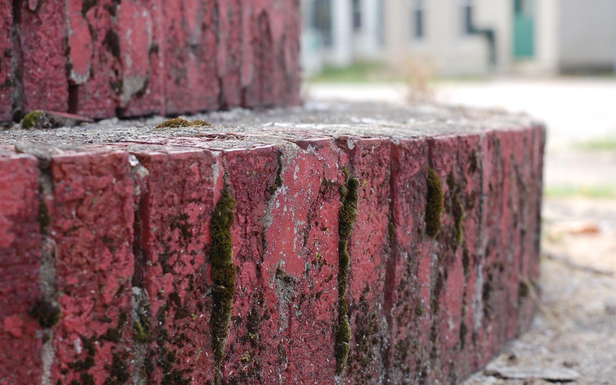 RedditHead's tweet photo. Mossy bricks [2880 x 1800]

submitted by AaronCompNetSys[link] [1 comment] http://t.co/J57LholYNc