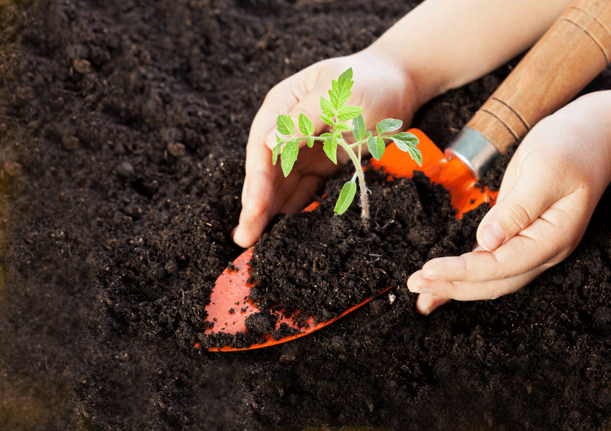 Impacta a la comunidad! genera mas y mejores oportunidades :) #ViveSustentable