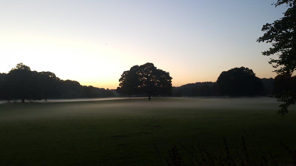 AlexJenner21's tweet photo. A beautiful autumnal evening for a run http://t.co/gw3kZGd8Vm