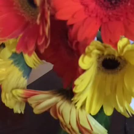 ShalonIronroad's tweet image. |REPLAY| 4 Steps To Fall Clean Your Business 🍁🍂 #spaceforsuccess... #katch #Periscope ktch.tv/2Kss