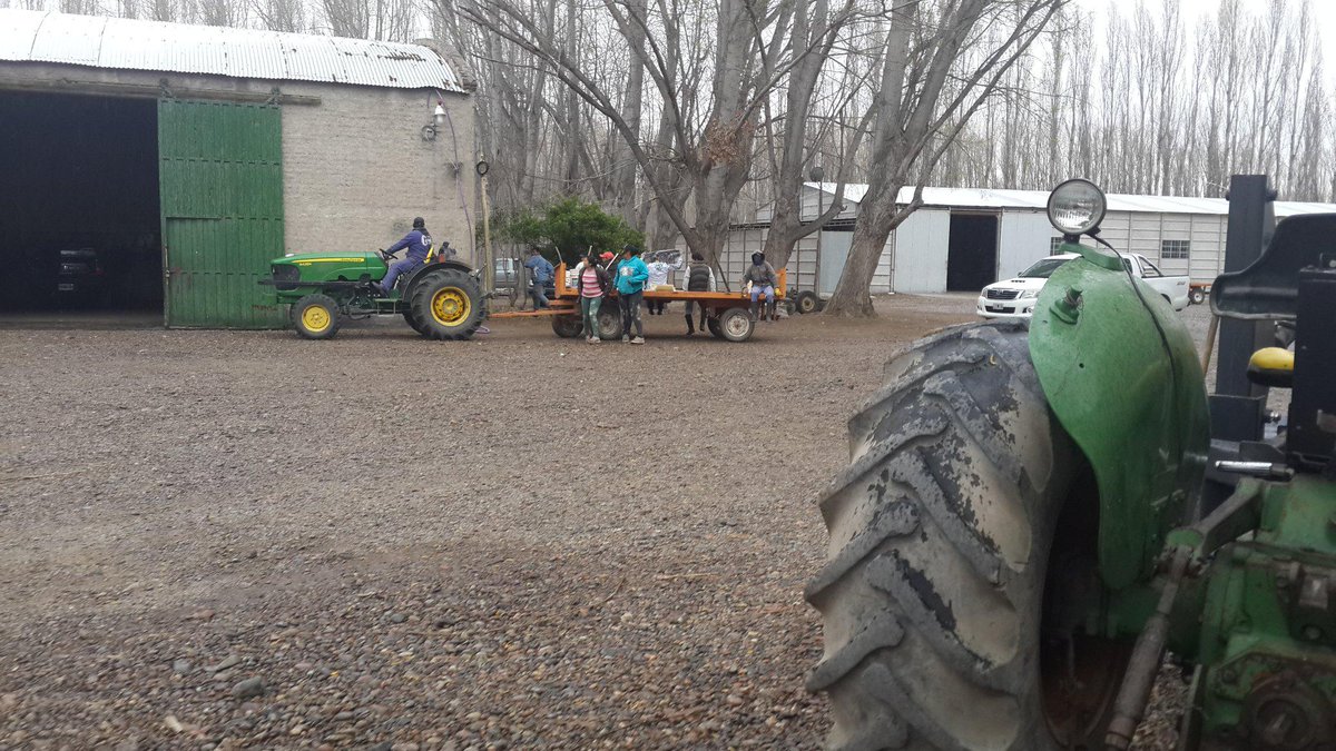 Confluencia_Fe's tweet photo. Chacra ayer Neuquen http://t.co/WcirrgvVHx