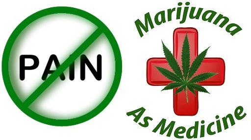 txherbivores's tweet photo. Another Study Saying Cannabis Is Safe For People Treating Chronic Pain! http://t.co/sgcMb8XgcS http://t.co/Kf1nSQg2Y5