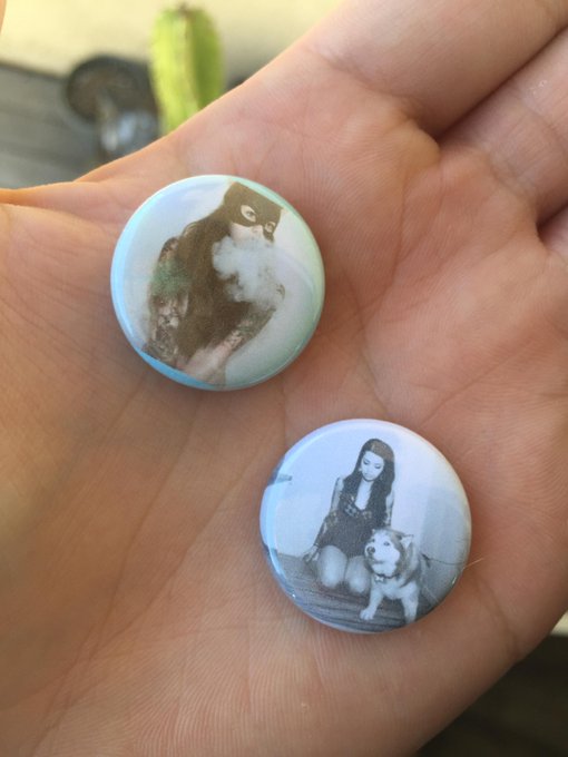 I have 1 set of Steeny Pins left!! They will be available inside my room today :D http://t.co/Dvla7e