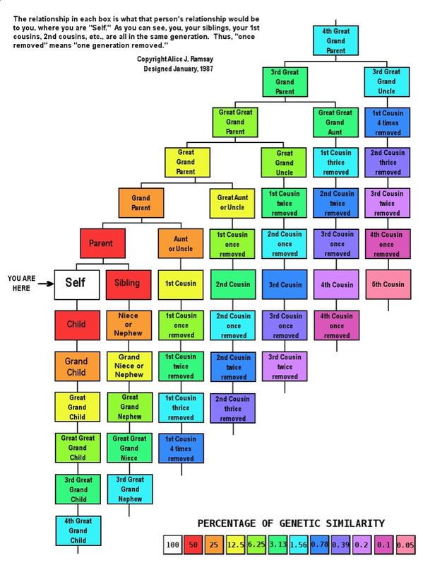 Chart Of Cousins Once Removed