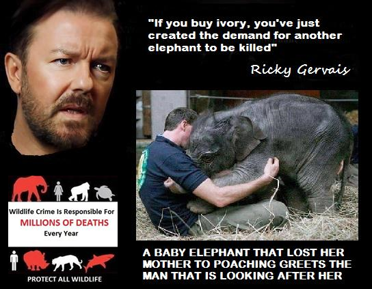 The reason millions are marching at #GMFER all over the world!! @RickyGervais <a href="/EleRhinoMarch/">March4ElesAndRhinos</a>
