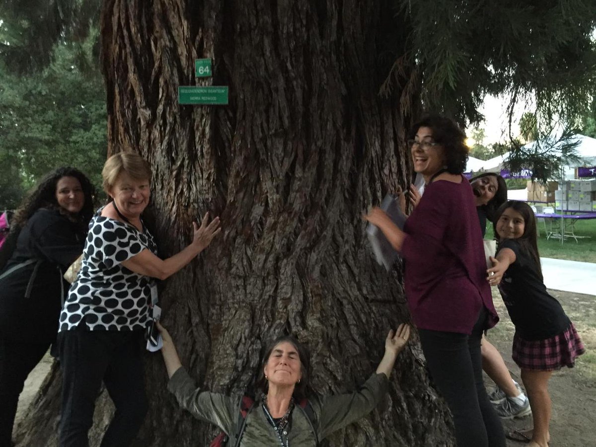 misteanjava's tweet image. #scavengerCSTA15