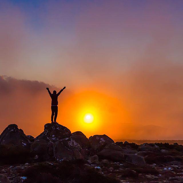 Tassie dons the brown and gold in preparation for this today's Grand Final!
#aflgrandfinal #discovertasmania