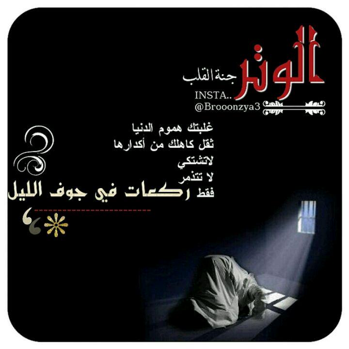 🦋𝓼𝓪-𝓪𝓵𝓼𝓱𝓮𝓱𝓻𝓲🦋 tweet media