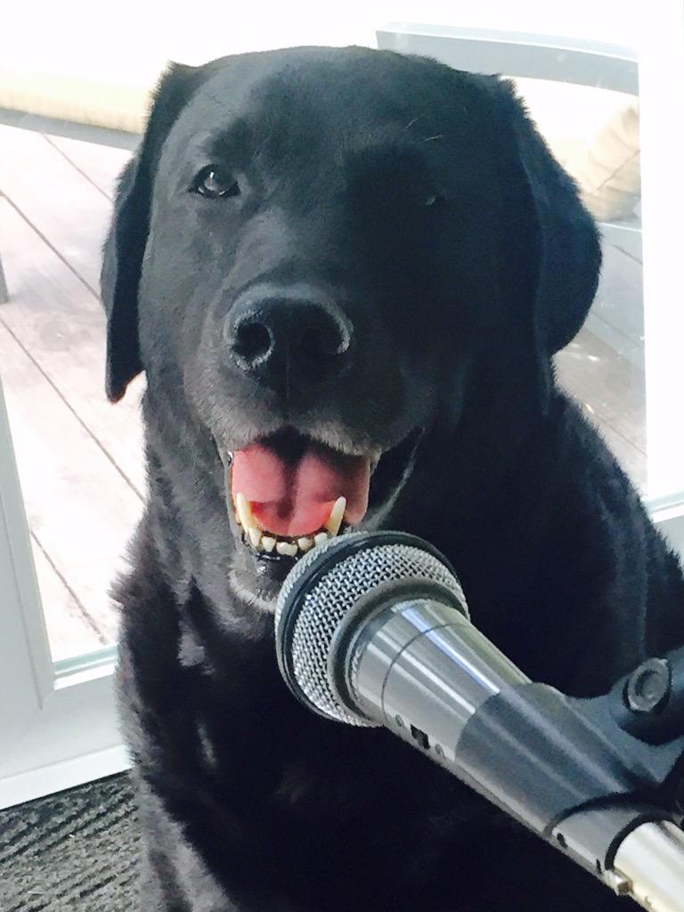 Thomas Leach tweet media