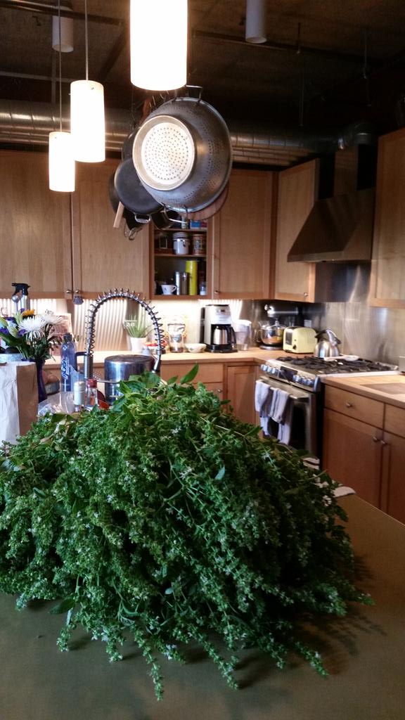 Pesto Season