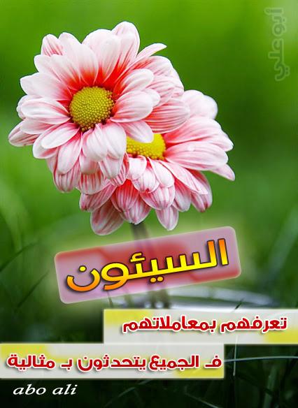alseraj33's tweet photo. السيئون ..
تعرفهم بمعاملاتهم
فـ الجميع يتعامل بمثالية .
#خواطر #abo_ali http://t.co/U8I41ejY7K