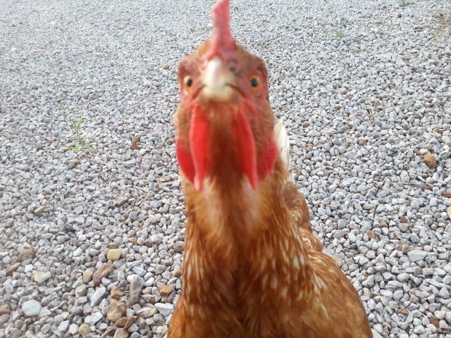 KVFarmTour's tweet photo. Get your ticket tonight so you are ready to head out in the morning! http://t.co/0rWN8QLaSB http://t.co/vuWA3k18qV