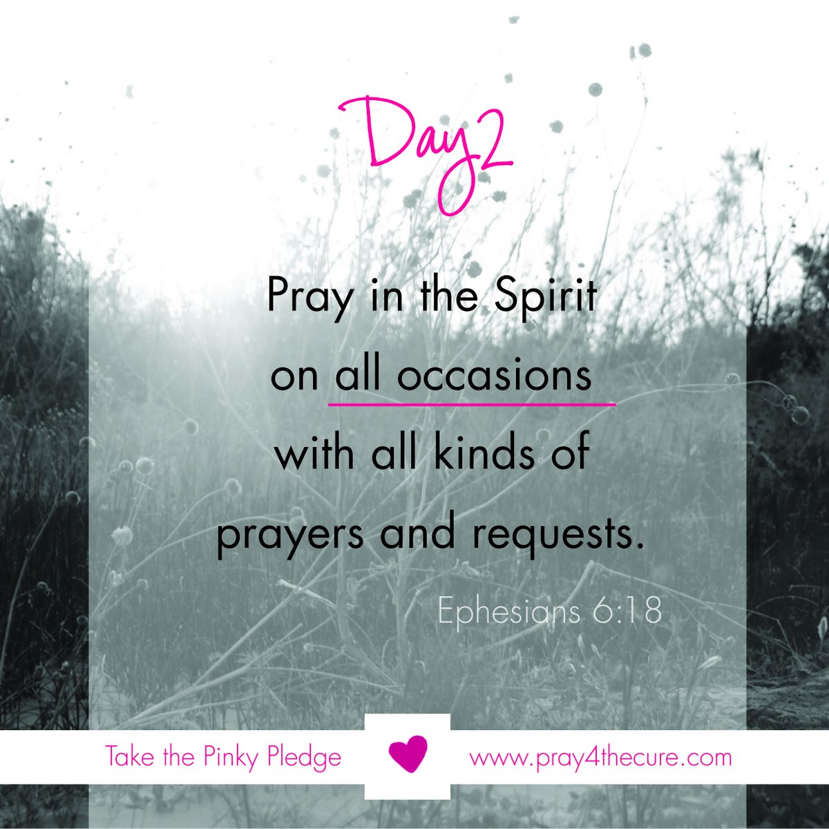 Kick off the weekend on your knees. #pray4thecure