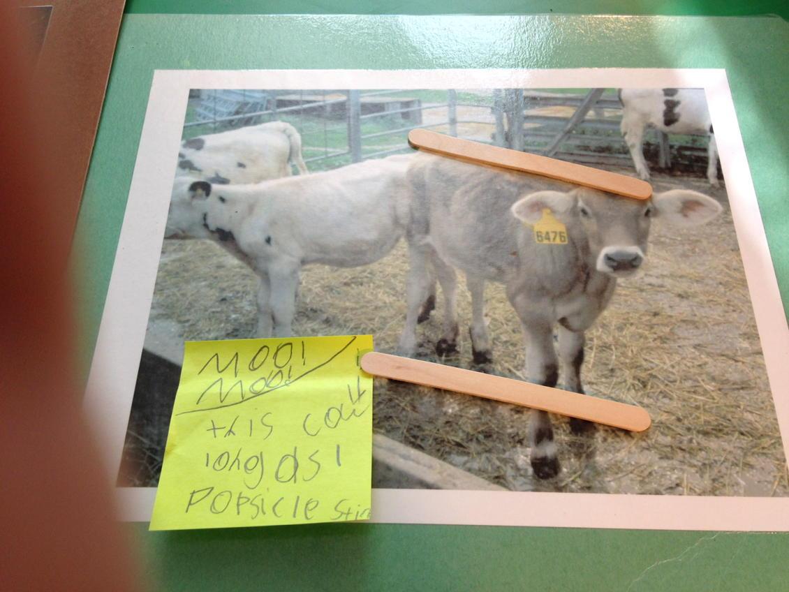 catchupcasey's tweet image. Students took pics of their own work when measuring objects with nonstandard units!  #flyhighfri #eledmath #1stgrade