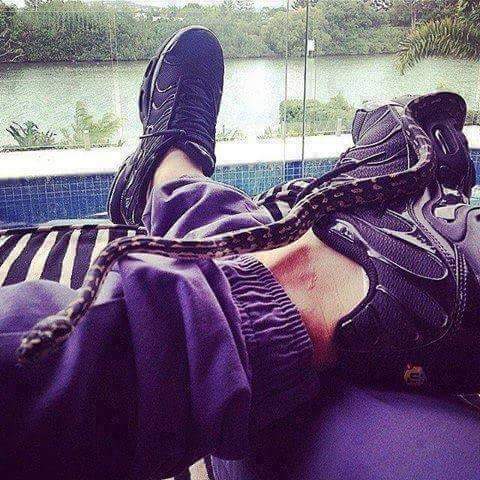 maxmoh_moh's tweet image. 