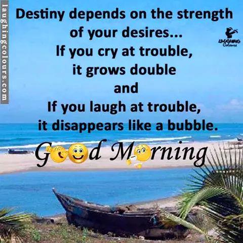 JadavRashmin's tweet photo. @RamosPalombo @hartaka8 @ramosrebecca11 @silviadomi22  @Lara1541997 @marie_nassar @arabiajj @beatshoney @nati_azur 🌸 http://t.co/G4dGryfirP