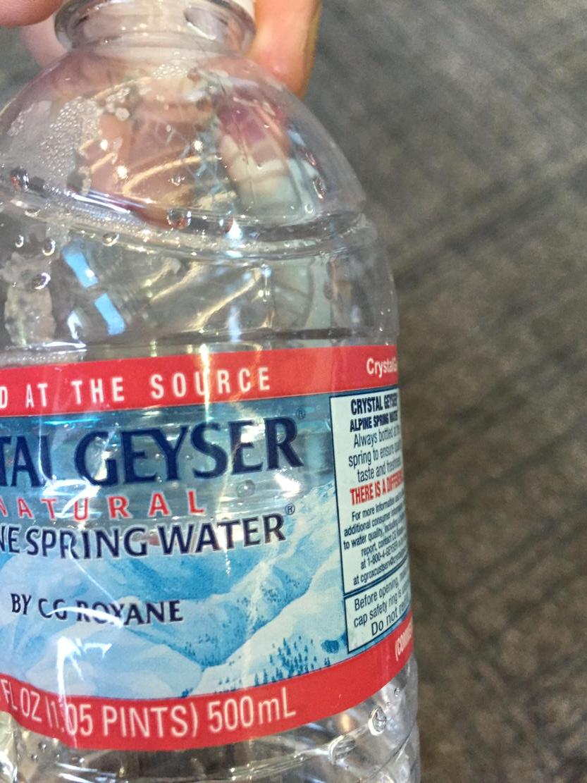 misteanjava's tweet image. #scavengerCSTA15