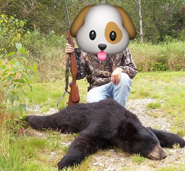 Jenniferfer's tweet photo. Success. 56-14 #prouddogs #huntthebears http://t.co/PSGYyDHB4R